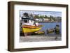 Tthe Fishing Harbour of Ancud, Island of Chiloe, Chile, South America-Peter Groenendijk-Framed Photographic Print