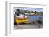 Tthe Fishing Harbour of Ancud, Island of Chiloe, Chile, South America-Peter Groenendijk-Framed Photographic Print