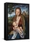 Tthe Virgin Suckling the Child-Lucas Cranach the Elder-Framed Stretched Canvas