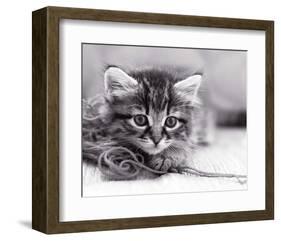 Tu viens jouer?-null-Framed Art Print