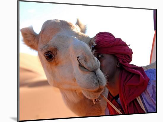 Tuareg and Dromedary, Sebha, Ubari, Libya, North Africa, Africa-Godong-Mounted Photographic Print