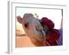 Tuareg and Dromedary, Sebha, Ubari, Libya, North Africa, Africa-Godong-Framed Photographic Print