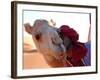 Tuareg and Dromedary, Sebha, Ubari, Libya, North Africa, Africa-Godong-Framed Photographic Print