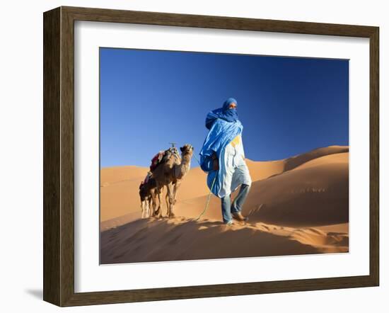 Tuareg Man Leading Camel Train, Erg Chebbi, Sahara Desert, Morocco-Peter Adams-Framed Photographic Print