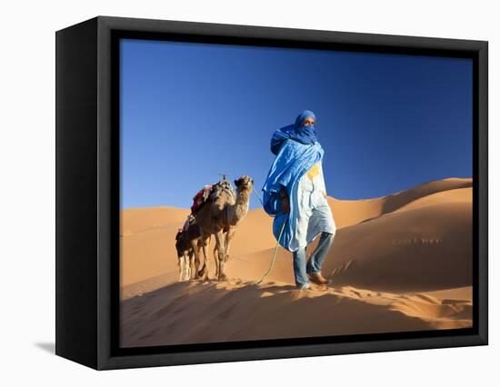 Tuareg Man Leading Camel Train, Erg Chebbi, Sahara Desert, Morocco-Peter Adams-Framed Stretched Canvas