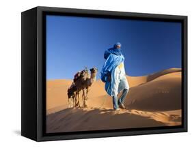 Tuareg Man Leading Camel Train, Erg Chebbi, Sahara Desert, Morocco-Peter Adams-Framed Stretched Canvas