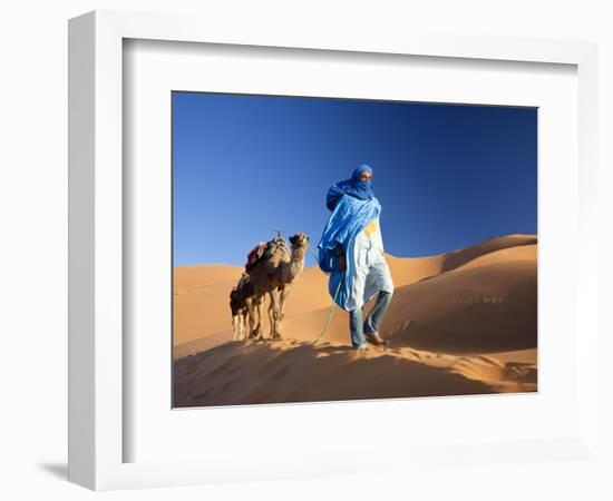 Tuareg Man Leading Camel Train, Erg Chebbi, Sahara Desert, Morocco-Peter Adams-Framed Photographic Print