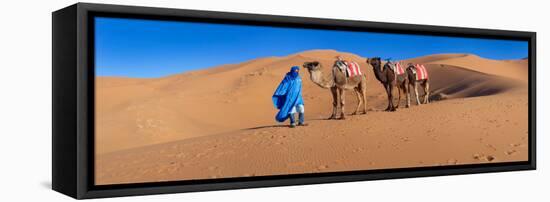 Tuareg Man Leading Camel Train in Desert, Erg Chebbi Dunes, Sahara Desert, Morocco-null-Framed Stretched Canvas