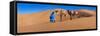 Tuareg Man Leading Camel Train in Desert, Erg Chebbi Dunes, Sahara Desert, Morocco-null-Framed Stretched Canvas