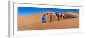 Tuareg Man Leading Camel Train in Desert, Erg Chebbi Dunes, Sahara Desert, Morocco-null-Framed Photographic Print