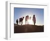 Tuareg Man with Camel Train, Erg Chebbi, Sahara Desert, Morocco-Peter Adams-Framed Photographic Print