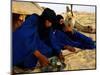 Tuareg Men Preparing for Tea Ceremony Outside a Traditional Homestead, Timbuktu, Mali-Ariadne Van Zandbergen-Mounted Photographic Print