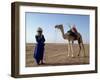 Tuareg Tribesman and Camel, Niger, Africa-Rawlings Walter-Framed Photographic Print