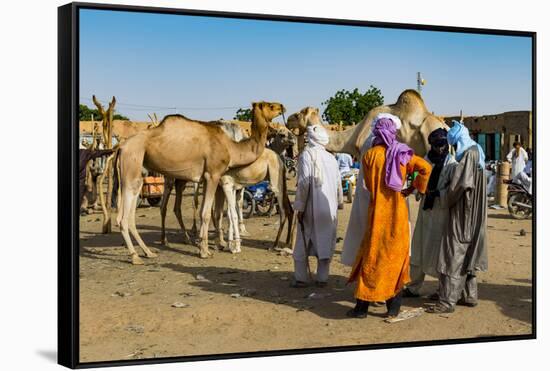 Tuaregs at the animal market, Agadez, Niger-Michael Runkel-Framed Stretched Canvas