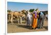 Tuaregs at the animal market, Agadez, Niger-Michael Runkel-Framed Photographic Print