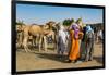 Tuaregs at the animal market, Agadez, Niger-Michael Runkel-Framed Photographic Print