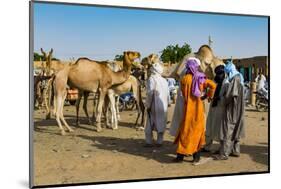 Tuaregs at the animal market, Agadez, Niger-Michael Runkel-Mounted Photographic Print