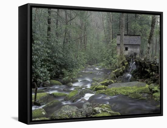 Tub Mill along Roaring Fork, Great Smoky Mountains National Park, Tennessee, USA-Adam Jones-Framed Stretched Canvas