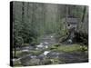 Tub Mill along Roaring Fork, Great Smoky Mountains National Park, Tennessee, USA-Adam Jones-Stretched Canvas