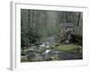 Tub Mill along Roaring Fork, Great Smoky Mountains National Park, Tennessee, USA-Adam Jones-Framed Photographic Print