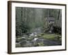 Tub Mill along Roaring Fork, Great Smoky Mountains National Park, Tennessee, USA-Adam Jones-Framed Photographic Print