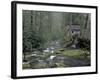 Tub Mill along Roaring Fork, Great Smoky Mountains National Park, Tennessee, USA-Adam Jones-Framed Photographic Print