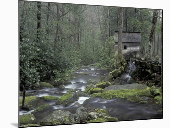 Tub Mill along Roaring Fork, Great Smoky Mountains National Park, Tennessee, USA-Adam Jones-Mounted Photographic Print