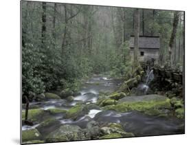 Tub Mill along Roaring Fork, Great Smoky Mountains National Park, Tennessee, USA-Adam Jones-Mounted Photographic Print