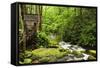 Tub Mill, Roaring Fork Creek, Great Smoky Mountains National Park, Tennessee, USA-null-Framed Stretched Canvas