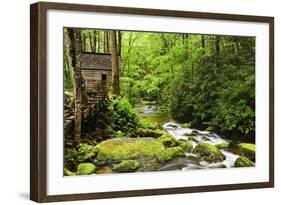 Tub Mill, Roaring Fork Creek, Great Smoky Mountains National Park, Tennessee, USA-null-Framed Photographic Print