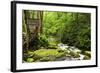 Tub Mill, Roaring Fork Creek, Great Smoky Mountains National Park, Tennessee, USA-null-Framed Photographic Print