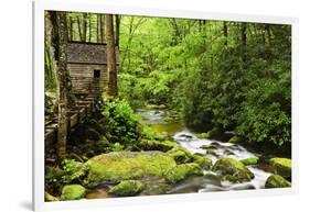 Tub Mill, Roaring Fork Creek, Great Smoky Mountains National Park, Tennessee, USA-null-Framed Photographic Print