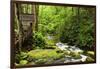 Tub Mill, Roaring Fork Creek, Great Smoky Mountains National Park, Tennessee, USA-null-Framed Photographic Print