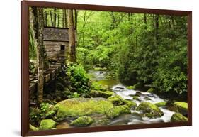 Tub Mill, Roaring Fork Creek, Great Smoky Mountains National Park, Tennessee, USA-null-Framed Photographic Print