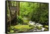 Tub Mill, Roaring Fork Creek, Great Smoky Mountains National Park, Tennessee, USA-null-Framed Stretched Canvas