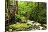 Tub Mill, Roaring Fork Creek, Great Smoky Mountains National Park, Tennessee, USA-null-Stretched Canvas