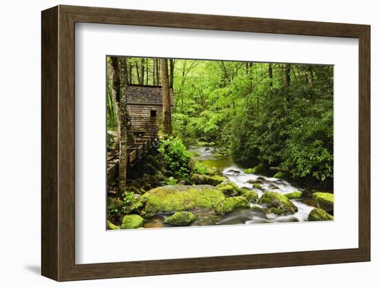 Tub Mill, Roaring Fork Creek, Great Smoky Mountains National Park, Tennessee, USA-null-Framed Photographic Print