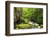 Tub Mill, Roaring Fork Creek, Great Smoky Mountains National Park, Tennessee, USA-null-Framed Photographic Print