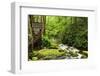 Tub Mill, Roaring Fork Creek, Great Smoky Mountains National Park, Tennessee, USA-null-Framed Photographic Print