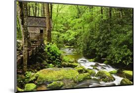 Tub Mill, Roaring Fork Creek, Great Smoky Mountains National Park, Tennessee, USA-null-Mounted Photographic Print