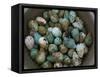 Tub of Guillemot Eggs-null-Framed Stretched Canvas