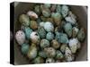 Tub of Guillemot Eggs-null-Stretched Canvas