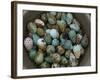 Tub of Guillemot Eggs-null-Framed Photographic Print