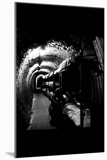 Tube Beds-Toni Frissell-Mounted Art Print