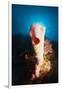 Tube Sponge on a Coral Reef-Reinhard Dirscherl-Framed Photographic Print