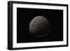 Tuber Melanosporum (Black Truffle, Perigord Truffle,French Black Truffle, Perigord Black Truffle)-Paul Starosta-Framed Photographic Print