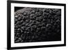 Tuber Melanosporum (Black Truffle, Perigord Truffle,French Black Truffle, Perigord Black Truffle)-Paul Starosta-Framed Photographic Print