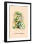 Tubereuse Jonquille-J.J. Grandville-Framed Art Print