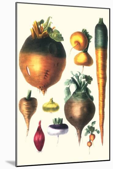 Tubers II-Philippe-Victoire Leveque de Vilmorin-Mounted Art Print