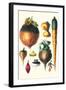 Tubers II-Philippe-Victoire Leveque de Vilmorin-Framed Art Print